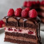 dark chocolate raspberry mousse cake